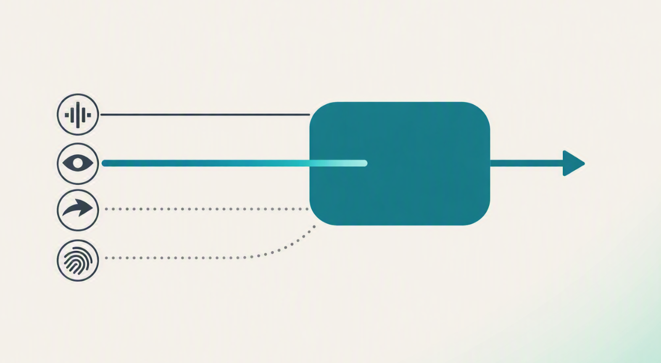 Multimodal AI: Your Model Learned to Ignore the Modality You Paid For