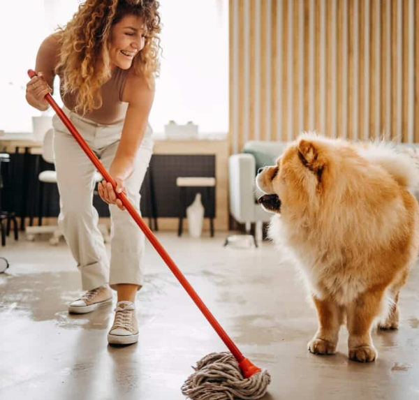 Regular House Cleaning for Homes With Pets: What You Need to Know
