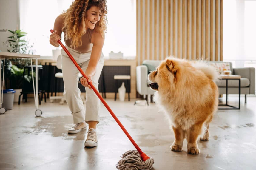 Regular House Cleaning for Homes With Pets: What You Need to Know